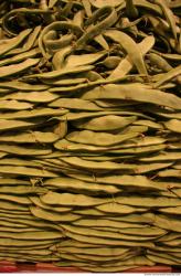 Photo Textures of Food